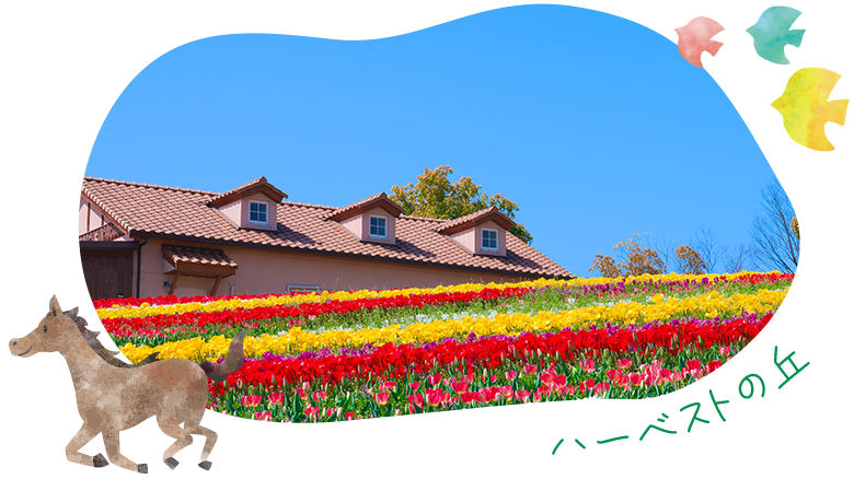 堺　イメージ画像