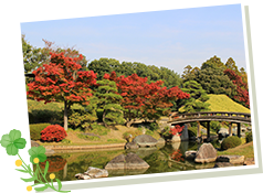 堺　イメージ画像